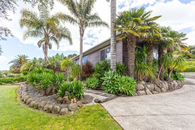 Photo of property in 55 Herbert Drive, Whangamata, 3620