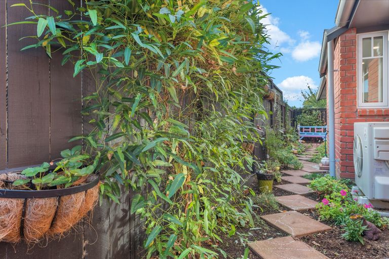 Photo of property in 75 Stirling Drive, Morrinsville, 3300