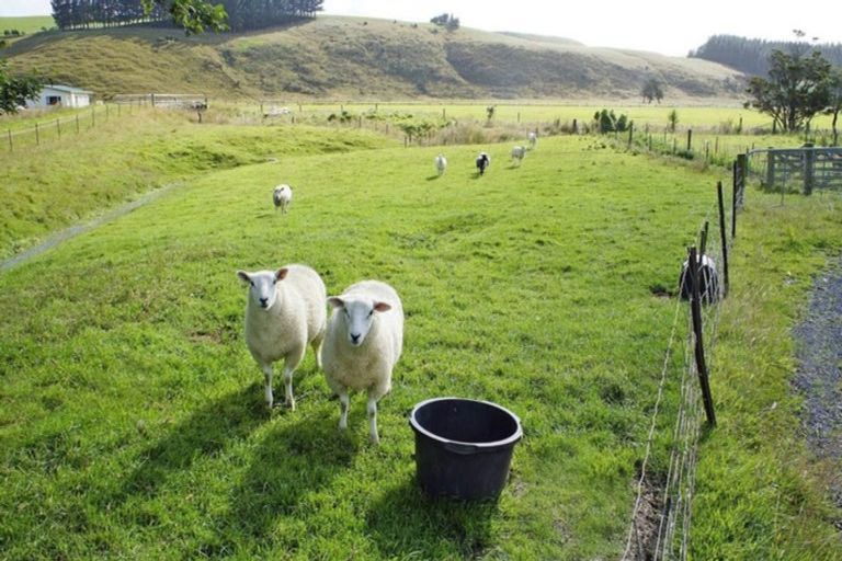 Photo of property in 150 Owaka Valley Road, Owaka, 9586