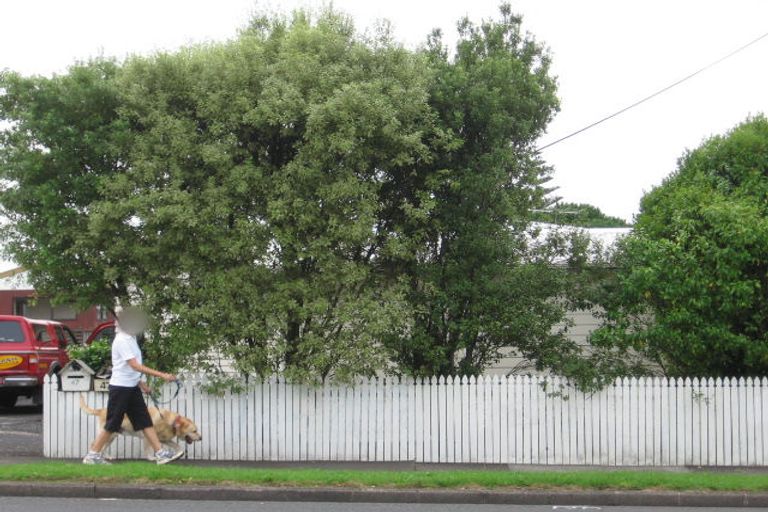 Photo of property in 47 Sturges Road, Henderson, Auckland, 0612