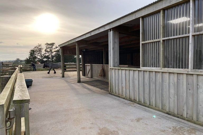 Photo of property in 1375 Carrington Road, Hurworth, New Plymouth, 4371