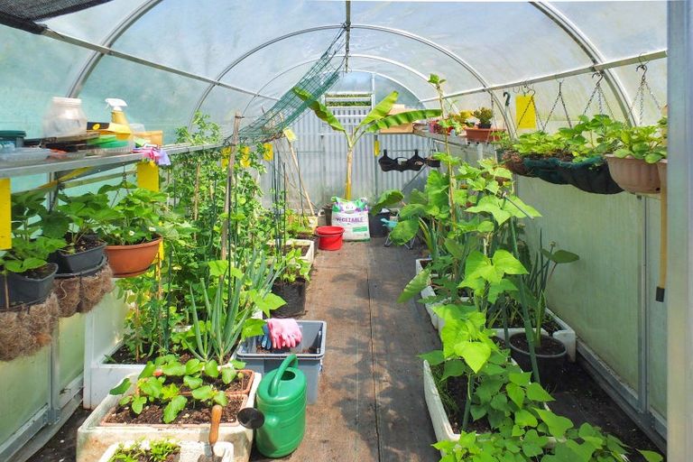 Photo of property in 7 Brown Street, Foxton, 4814