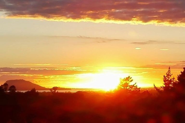 Photo of property in 233 Waipapa Block Road, Whakamarama, Tauranga, 3180