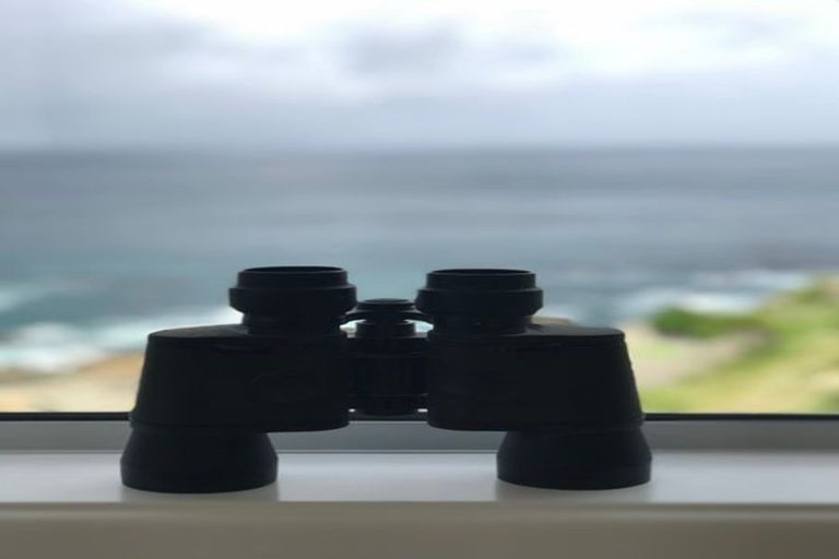 Photo of property in 51 High Street, Island Bay, Wellington, 6023