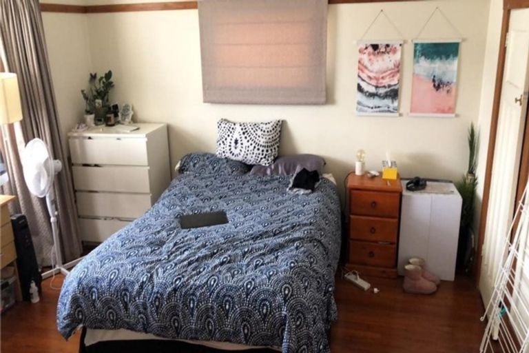 Photo of property in 269 Mount Albert Road, Wesley, Auckland, 1041