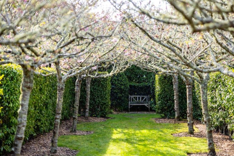 Photo of property in 111c Bollard Road, Tamahere, Hamilton, 3283