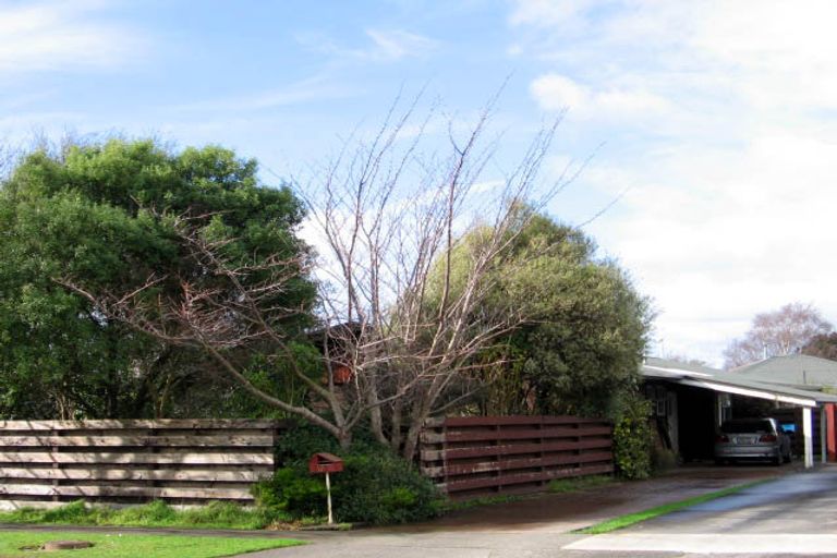 Photo of property in 15 Carter Crescent, Awapuni, Palmerston North, 4412