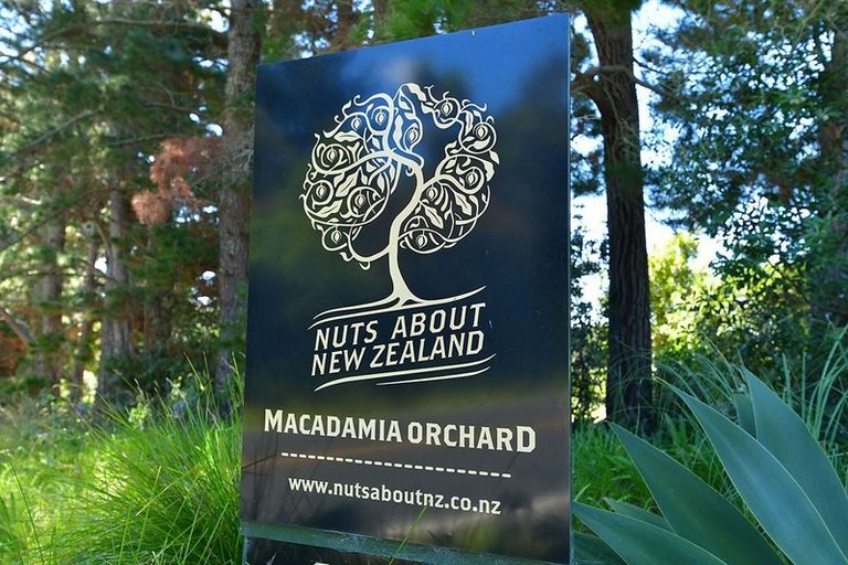 Photo of property in 940 South Head Road, South Head, Helensville, 0874