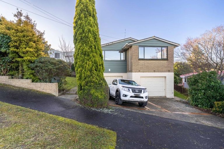 Photo of property in 135 Balmacewen Road, Wakari, Dunedin, 9010