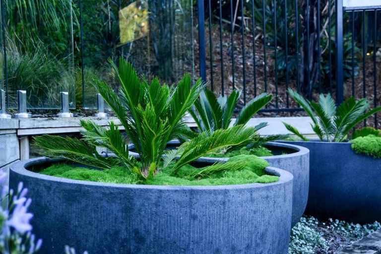 Photo of property in 734 River Road, Chartwell, Hamilton, 3210