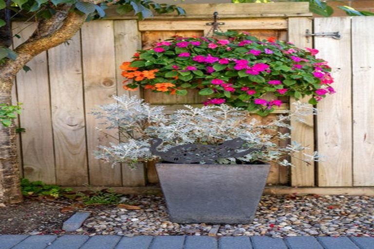 Photo of property in 21a Bryce Street, Cambridge, 3434