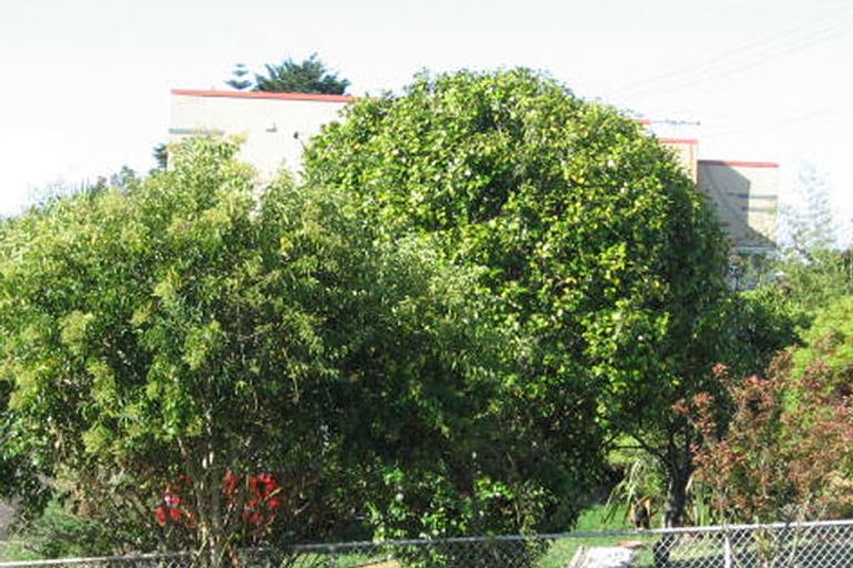 Photo of property in 16 Gardner Avenue, New Lynn, Auckland, 0600