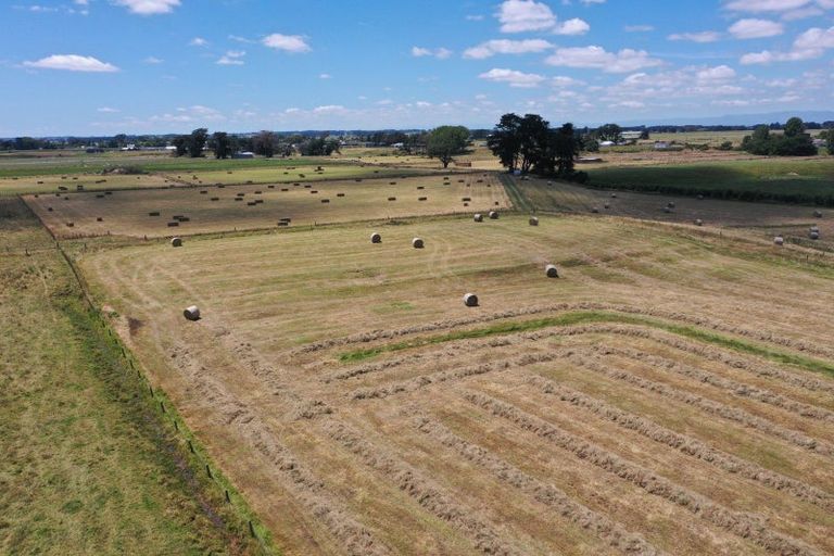 Photo of property in 128 Banks Road, Rongotea, Palmerston North, 4473