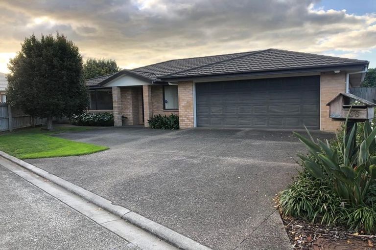 Photo of property in 36 Greig Place, Pukekohe, 2120