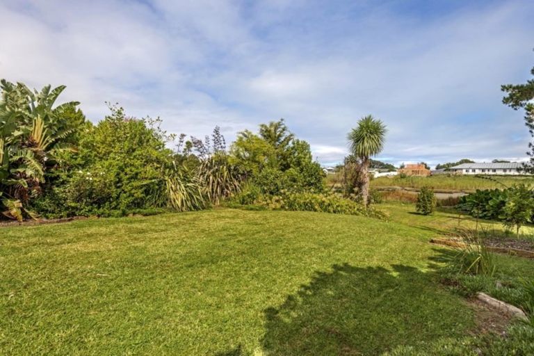 Photo of property in 50 Oak Street, Mangapapa, Gisborne, 4010