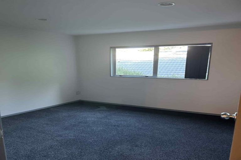Photo of property in 14 Bush View Lane, Northcote Point, Auckland, 0627