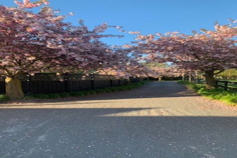 Photo of property in 305 Lehmans Road, Fernside, Rangiora, 7471