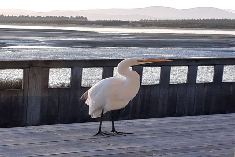 Photo of property in 30c Iwa Street, Mapua, 7005