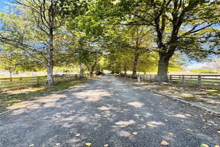 Photo of property in Long Cottage Gallery, 145 Iona Road, Havelock North, 4130