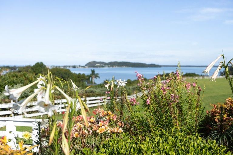 Photo of property in 131 Athenree Road, Athenree, Katikati, 3177