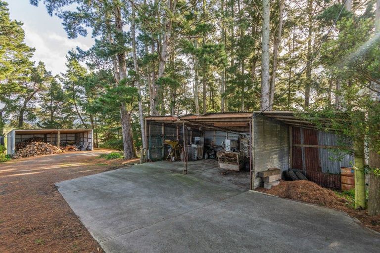 Photo of property in 165 Range Road, Woodville, 4997