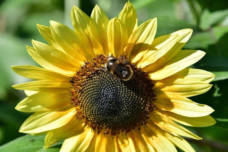 Photo of property in 76a Shakespear Road, Army Bay, Whangaparaoa, 0930