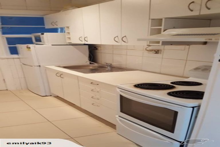 Photo of property in 25 Buller Street, Te Aro, Wellington, 6011