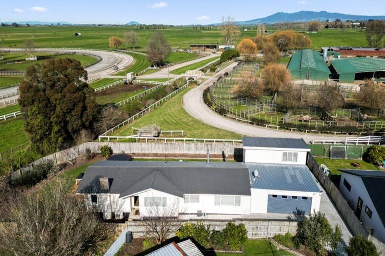 Photo of property in 455 Kahikatea Drive, Dinsdale, Hamilton, 3204