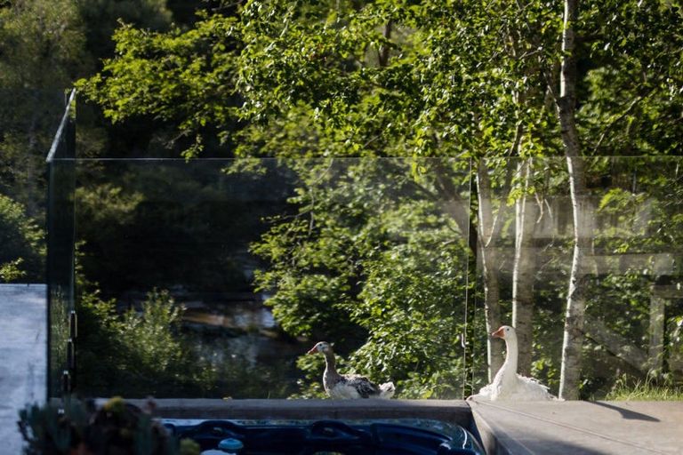 Photo of property in 109 Butcher Road, Matangi, Hamilton, 3284