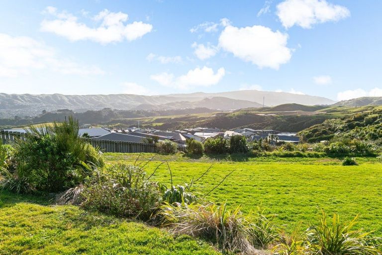 Photo of property in 8 Astelia Way, Woodridge, Wellington, 6037