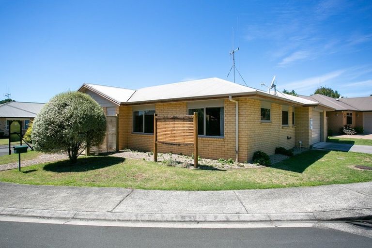 Photo of property in 13/2 Grace Avenue, Leamington, Cambridge, 3432