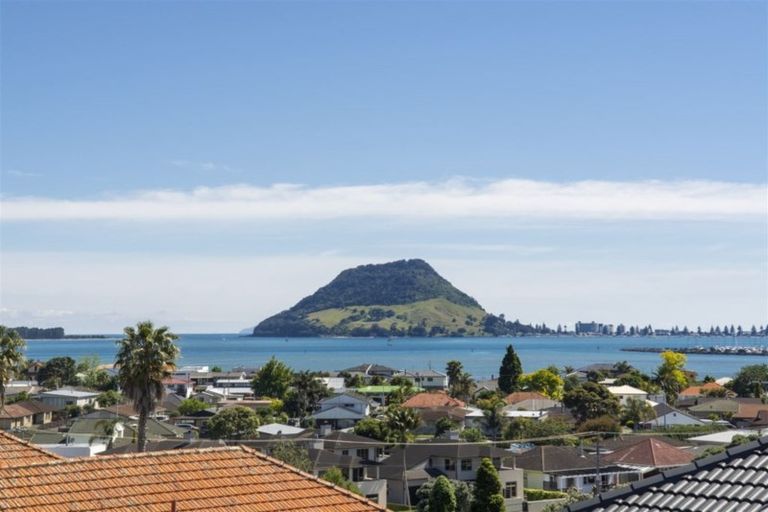 Photo of property in 94a Maxwells Road, Otumoetai, Tauranga, 3110