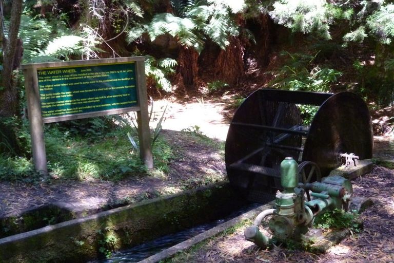 Photo of property in 13 Larches Lane, Kinloch, 3377