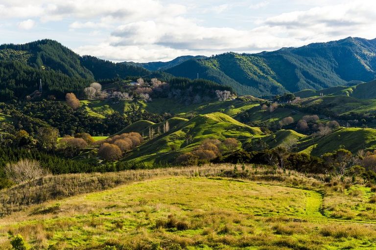 Photo of property in 276 Gaddums Hill Road, Outer Kaiti, Gisborne, 4010