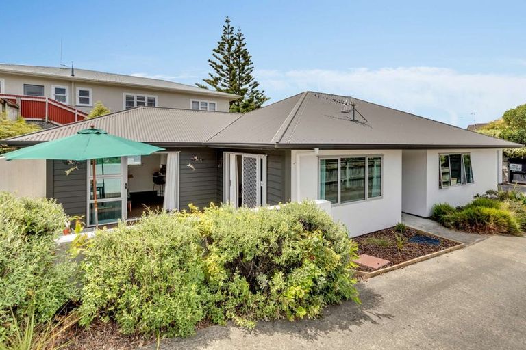Photo of property in 604a Ferguson Street, Terrace End, Palmerston North, 4410