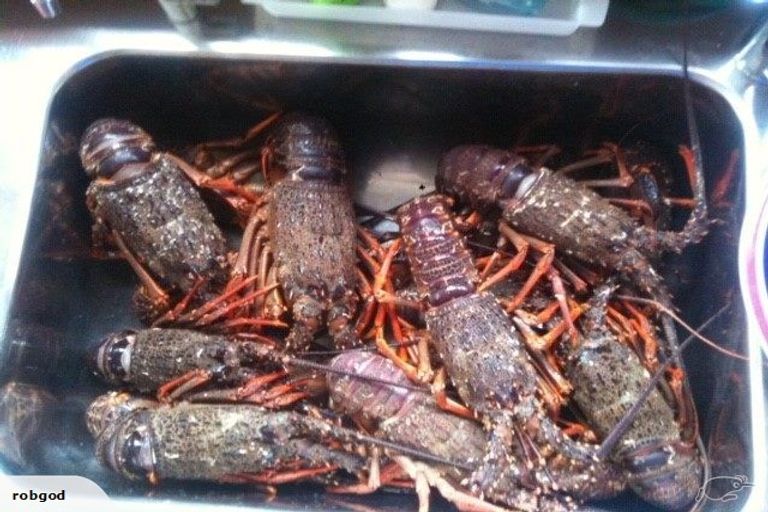 Photo of property in 10 Kuku Avenue, Mahia, Nuhaka, 4198