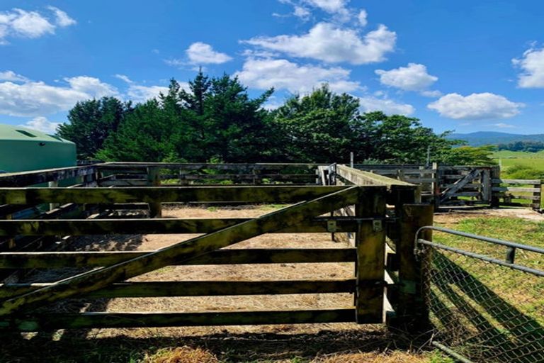 Photo of property in 19 Lerwick Lane, Nukuhou, 3196