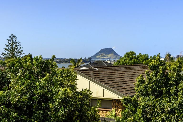 Photo of property in 131c Edgecumbe Road, Tauranga South, Tauranga, 3112