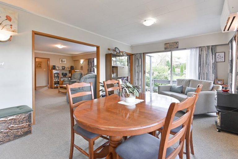 Photo of property in 31 Tanner Street, Havelock North, 4130