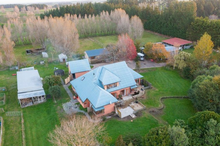 Photo of property in 153 Halcombe Road, Feilding, 4775