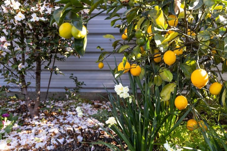 Photo of property in 12 River Terrace, Renwick, 7204