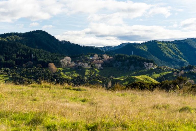 Photo of property in 276 Gaddums Hill Road, Outer Kaiti, Gisborne, 4010