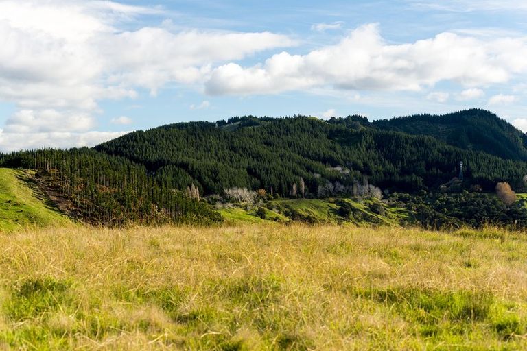 Photo of property in 276 Gaddums Hill Road, Outer Kaiti, Gisborne, 4010