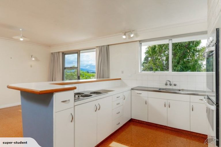 Photo of property in 249 New Renwick Road, Burleigh, Blenheim, 7272