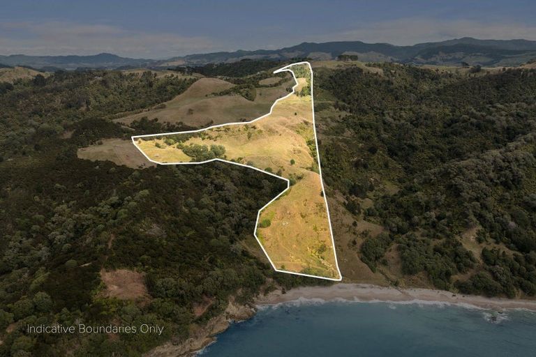 Photo of property in 269 Ngatitangata Road, Waihi, 3681
