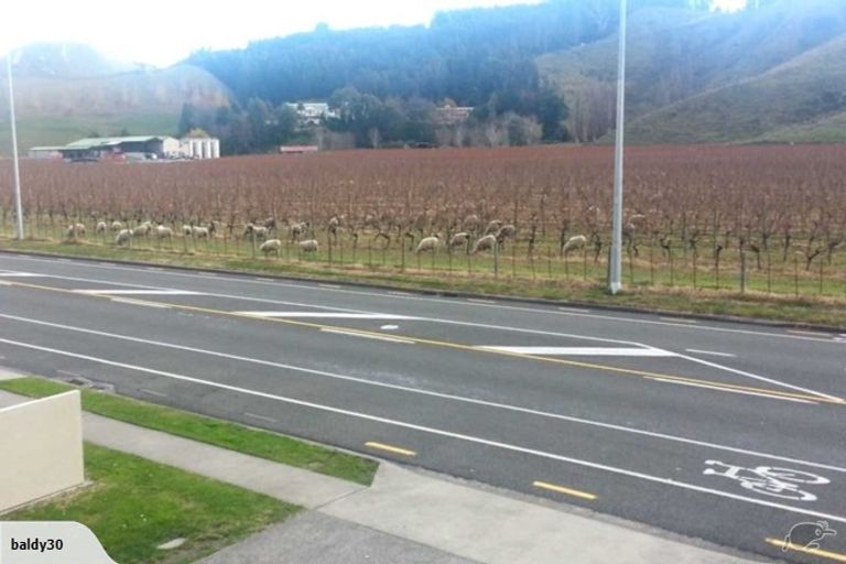 Photo of property in 373 Church Road, Greenmeadows, Napier, 4112