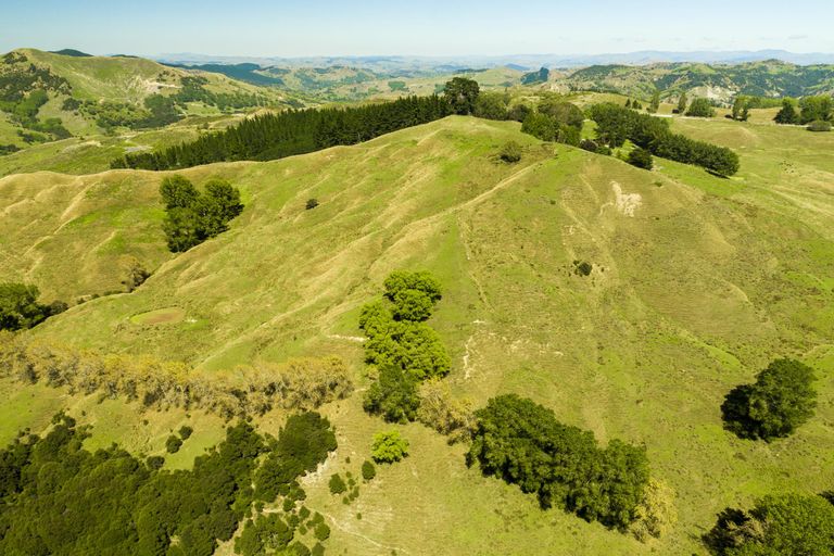 Photo of property in 1574 Kanakanaia Road, Whatatutu, Te Karaka, 4091