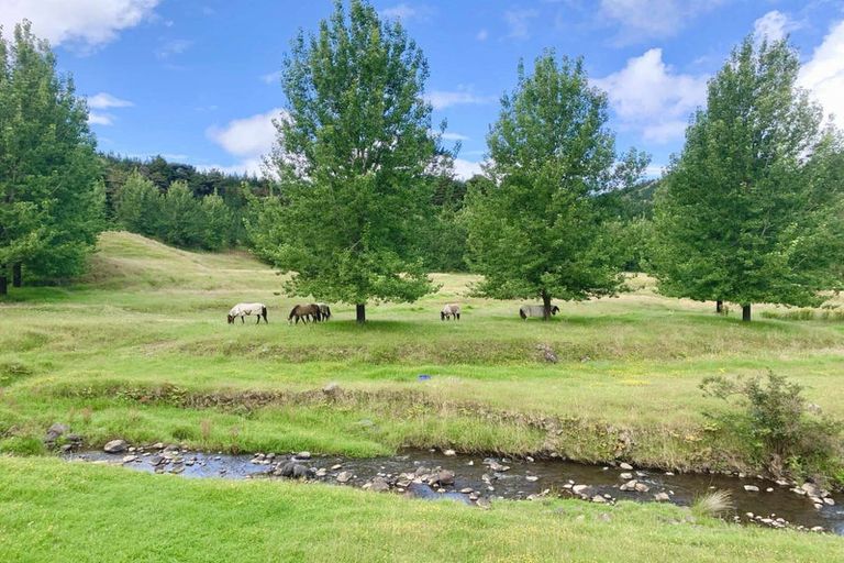 Photo of property in 1819 Mataraua Road, Otaua, Kaikohe, 0474