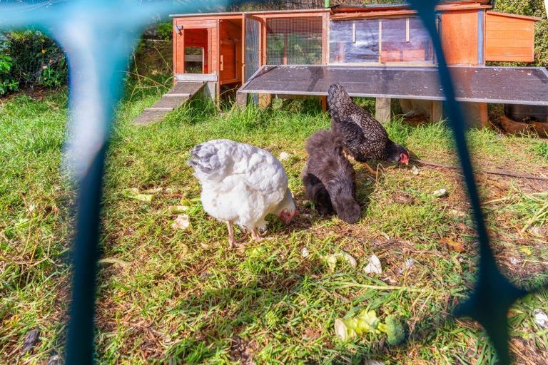 Photo of property in 10 Mamaku Street, Paraparaumu, 5032