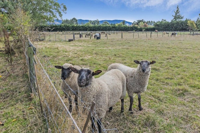 Photo of property in 67 Weld Street, Oxford, 7430